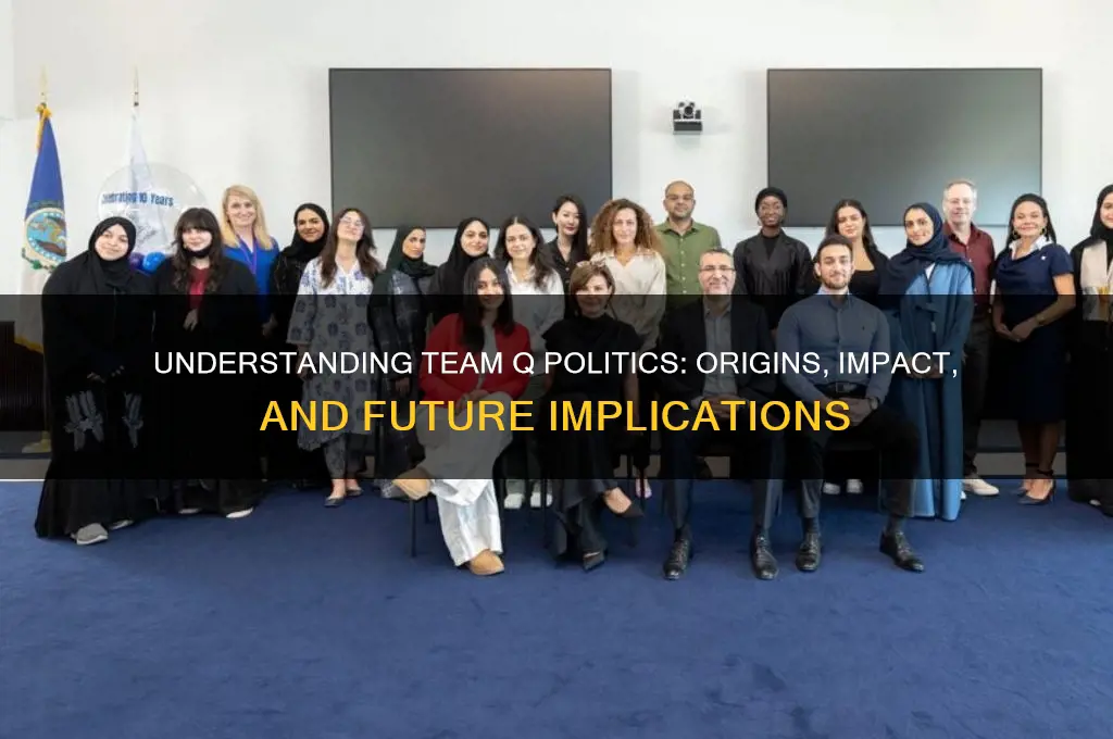 what is team q politics