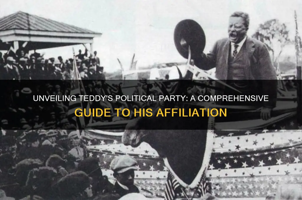 what is teddys political party