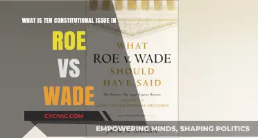Roe vs Wade: A Constitutional Clash