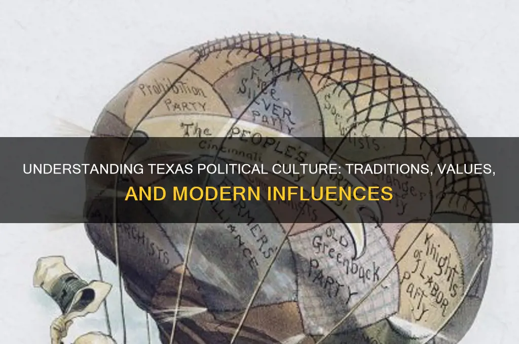 what is texas political culture
