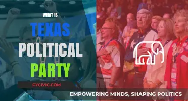 Understanding Texas Political Parties: A Comprehensive Guide to Their Roles and Influence