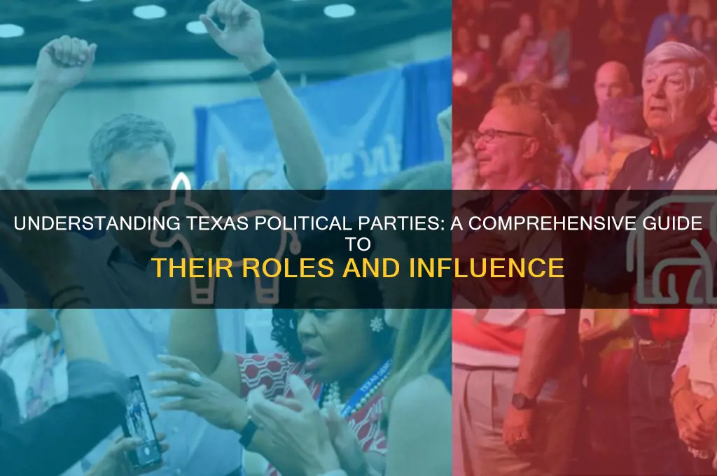 what is texas political party