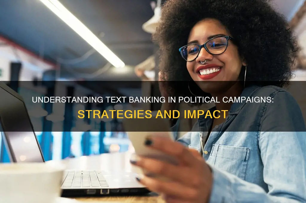 what is text banking political
