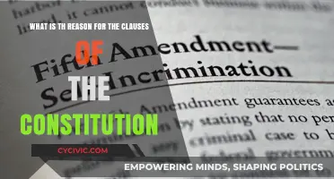 Understanding the Constitution's Clauses: Why They Matter