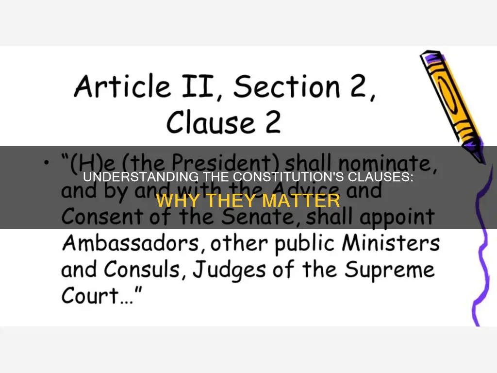 what is th reason for the clauses of the constitution