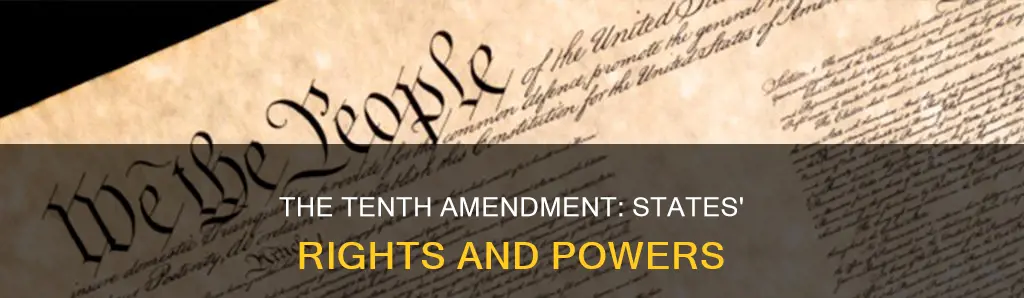 what is the 10 amendment of the us constitution