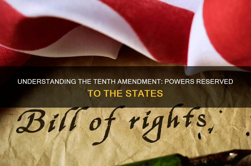 what is the 10th amendment to the us constitution