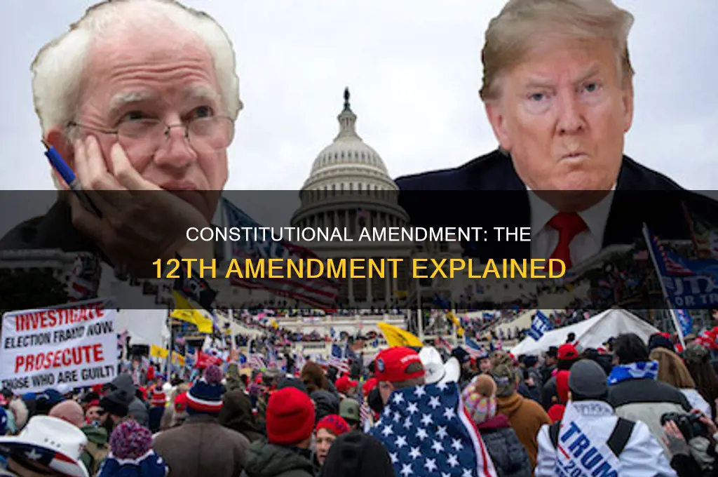 what is the 12 amendment