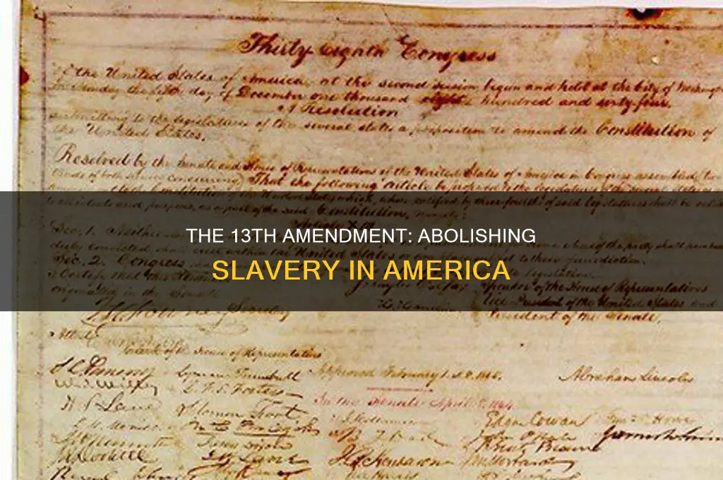 what is the 13th amendment to the us constitution