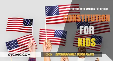 Understanding the 14th Amendment: Equality and Citizenship