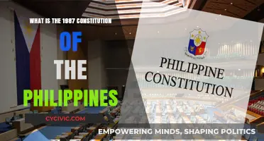 Philippine Constitution: Understanding the 1987 Charter