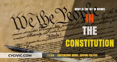 The Constitution's First Words: A Powerful Introduction