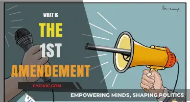 Understanding the First Amendment: Freedom's Foundation