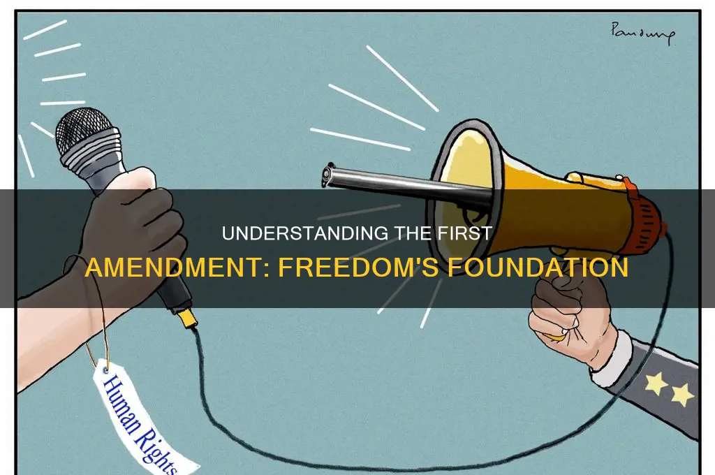 what is the 1st amendement