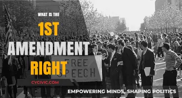 Understanding the First Amendment: Your Right to Freedom