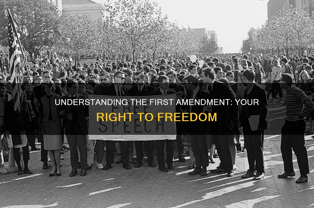 what is the 1st amendment right
