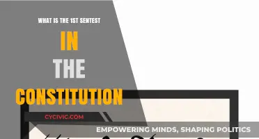 Exploring the Constitution's First Sentence
