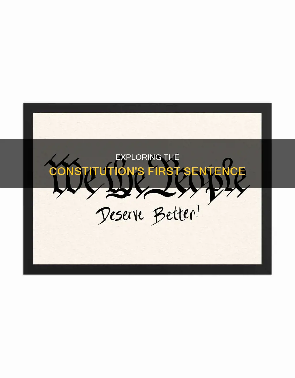 what is the 1st sentest in the constitution