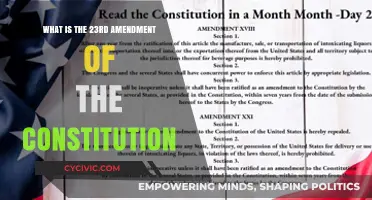 Amendment 23: Understanding the Right to Vote for DC Residents