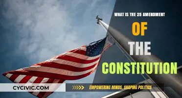 The 25th Amendment: Understanding Presidential Succession