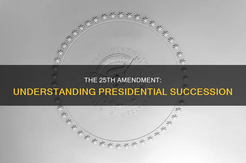 what is the 25 amendment of the constitution