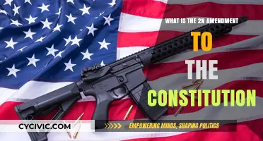 The Right to Bear Arms: Understanding the Second Amendment