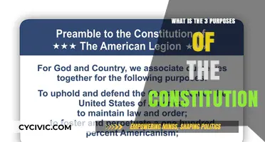 Understanding the Core Purposes of the Constitution
