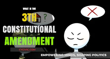 Constitutional Amendment: The Right to Vote