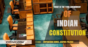 India's 73rd Amendment: Power to the People