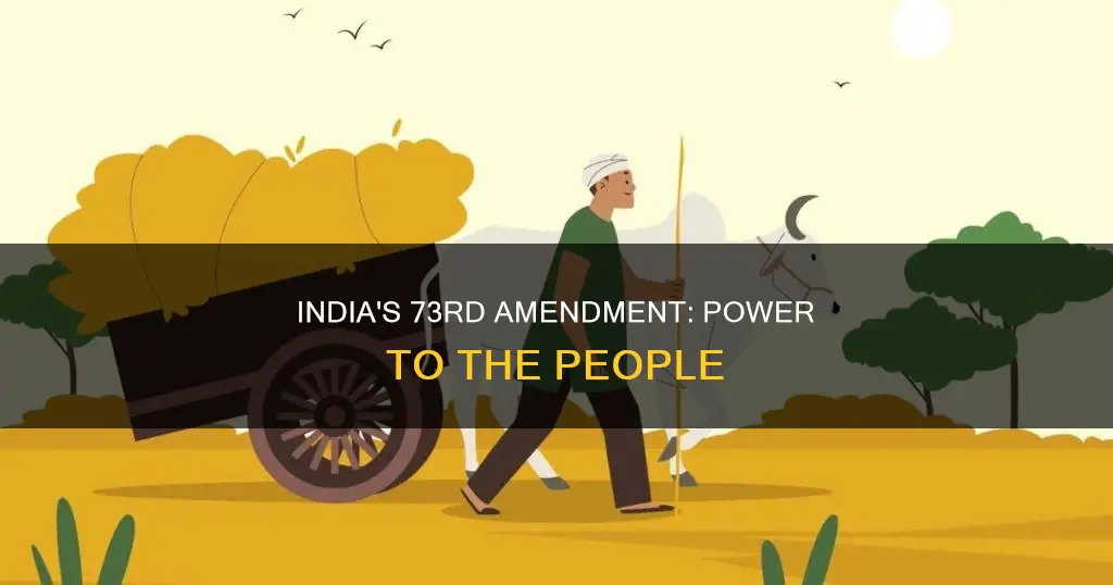 what is the 73rd amendment of indian constitution