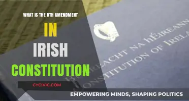 The Irish Constitution's Eighth Amendment: Understanding Its Impact