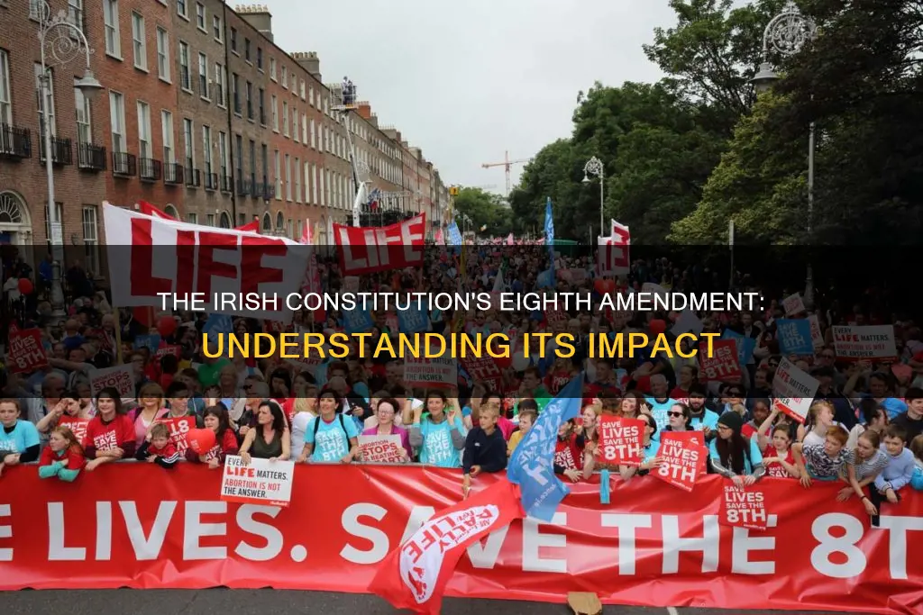 what is the 8th amendment in irish constitution