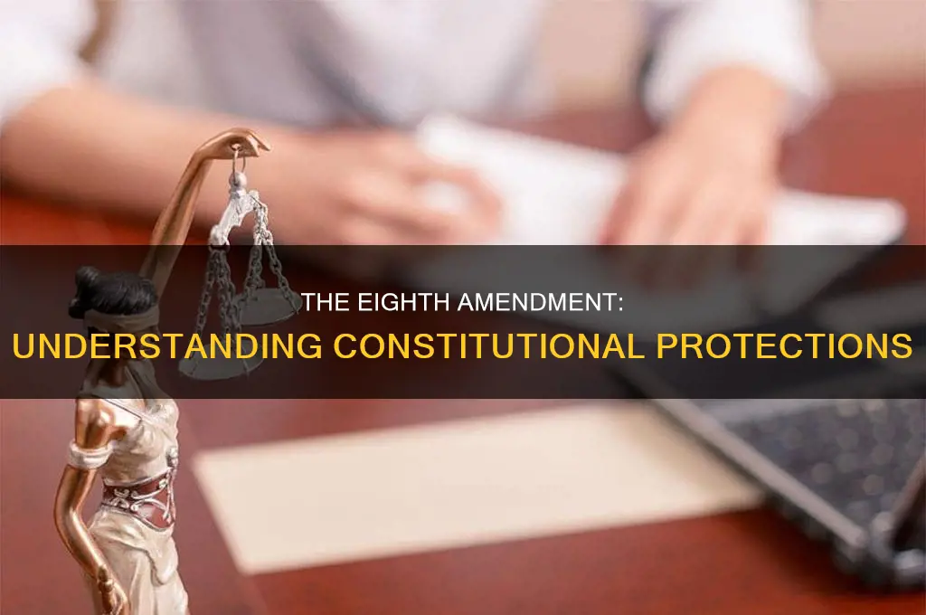 what is the 8th amendment of the constitution