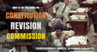 Ending Constitution Revision: Why and How?