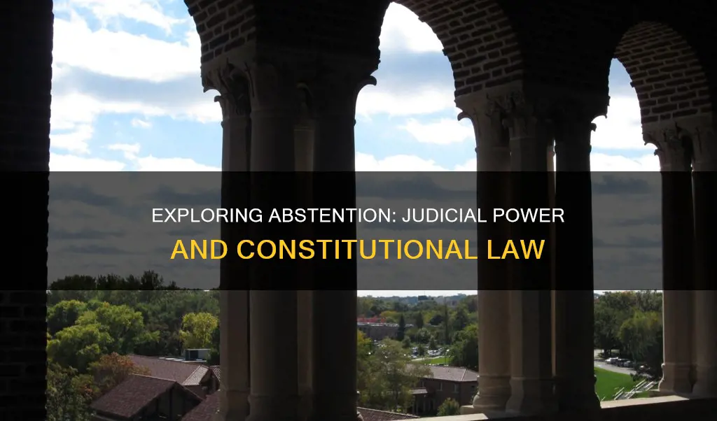 what is the abstention doctrine in constitutional la