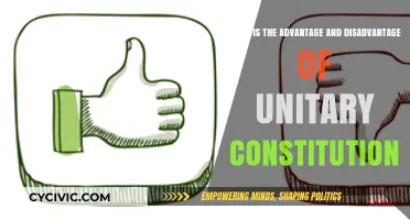 Unitary Constitutions: Pros, Cons, and Complexities