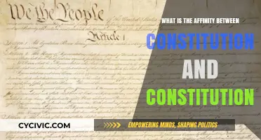 Constitution and Constitutionalism: Understanding Their Affinity