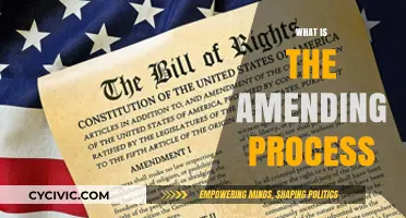 Amending Process: How to Change the Constitution