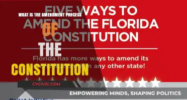 Amending the Constitution: Steps to Change
