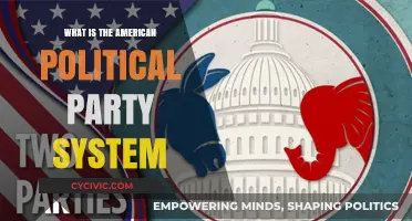 Understanding the American Political Party System: Structure, Roles, and Impact