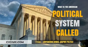 Exploring the Foundations: What is the American Political System Called?