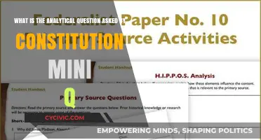 How the Constitution's Analytical Question Works
