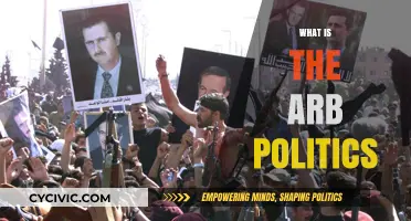 Understanding ARB Politics: Key Concepts, Influence, and Global Implications