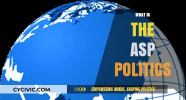Understanding ASP Politics: Key Concepts, Impact, and Global Influence