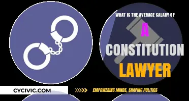 Exploring the Salary Range of Constitutional Lawyers