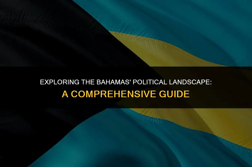what is the bahamas political system