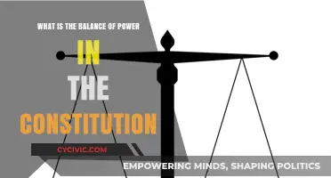 The Constitution's Power Balance: A Delicate Equilibrium
