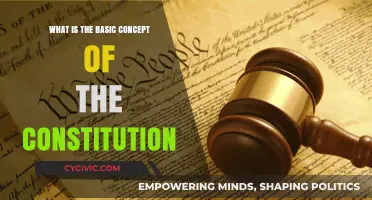 Understanding the Constitution: Fundamental Principles