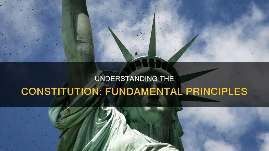 what is the basic concept of the constitution