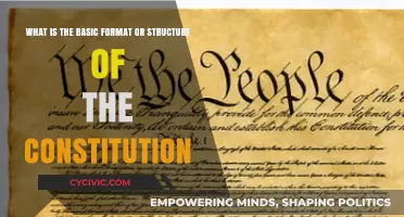 Understanding the Constitution: Its Basic Structure